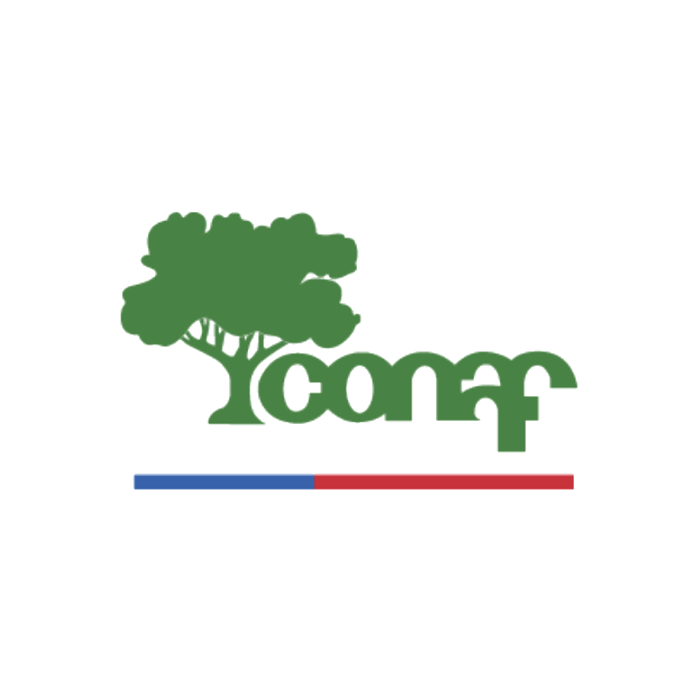 CONAF – cliente de Ubilla y Cía.