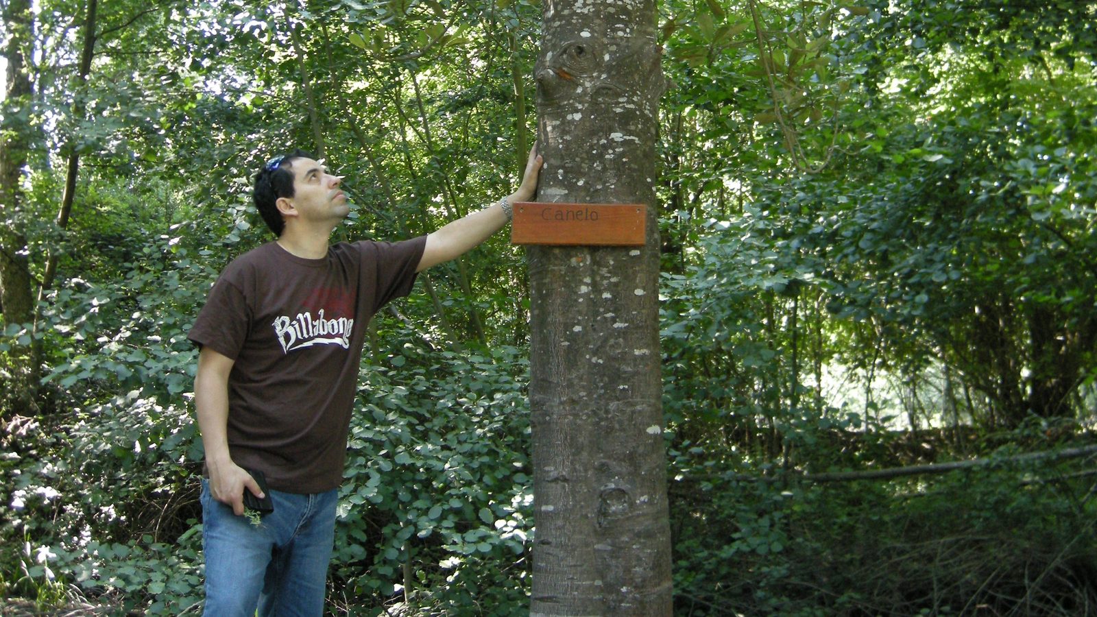 UB Carbono: bosque nativo y proyectos de carbono – Dr. Jaime Ubilla junto a un canelo